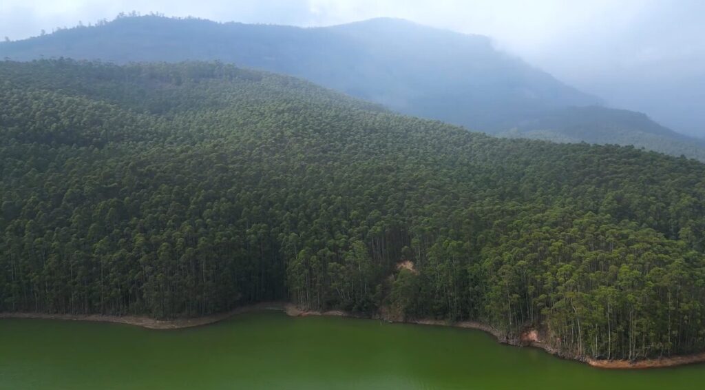 Echo Point in Munnar with a quiet lake and forest-covered hills