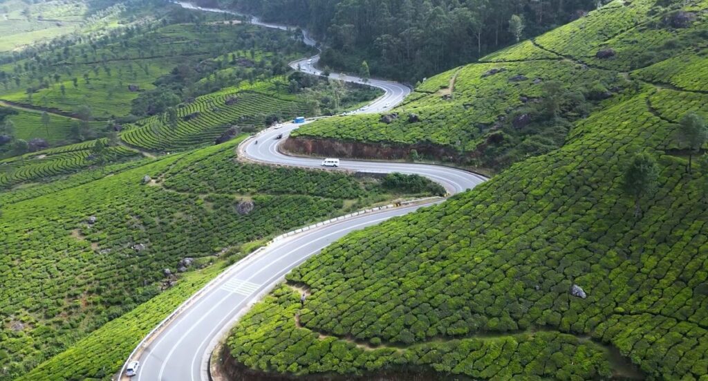 Endless tea plantations at Lockhart Tea Garden on the Munnar hill roads 