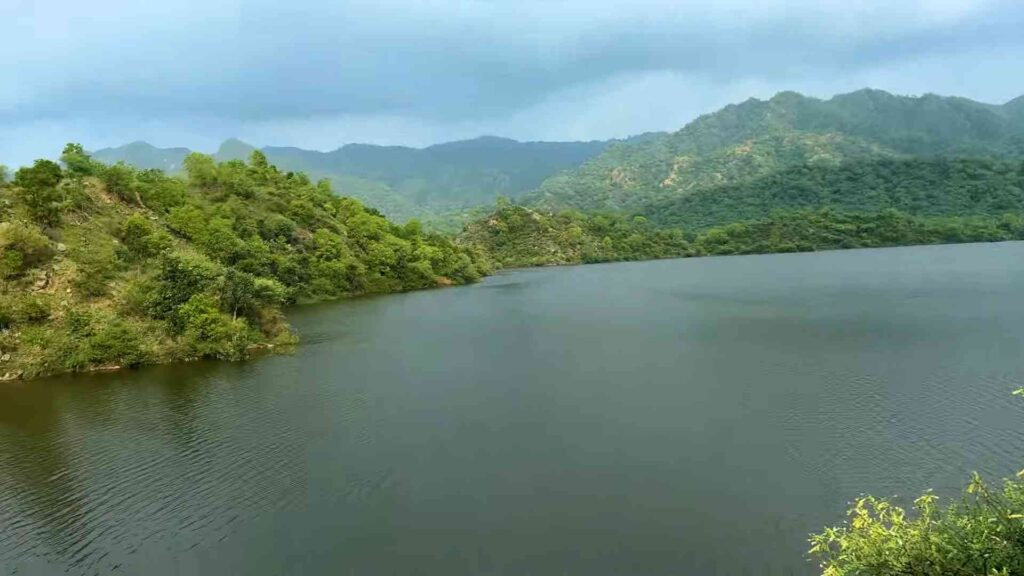 Wide view of the Ranakpur River with lush greenery and a peaceful atmosphere amid the Aravalli hills