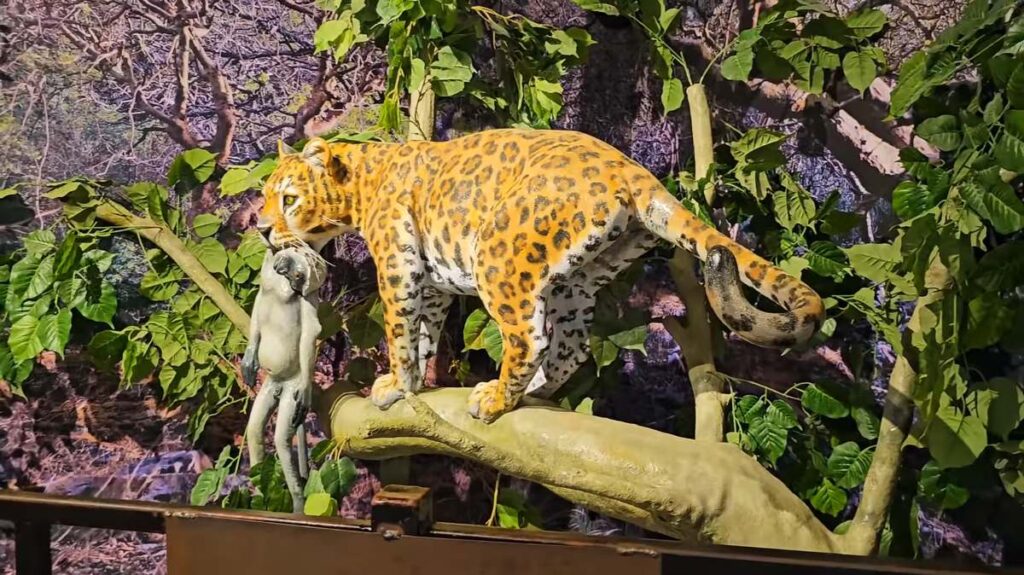 Wildlife exhibit inside Sajjangarh Fort Udaipur